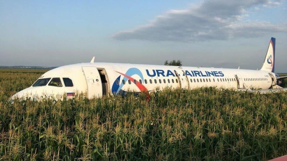 Посадка Airbus A321 «Уральских авиалиний» на кукурузное поле: что на самом деле произошло 15 августа 2019 года